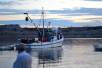 /album/fotoalbum/dsc-0641-jpg1/